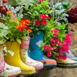 Rubber Wellington Boots are lined up and used as flower pots in