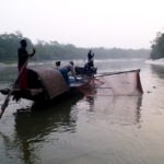 Sundarban-1