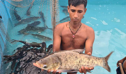 পর্ব-২২: অভিপ্রেত ও অনভিপ্রেত মৎস্যের সন্ধানে