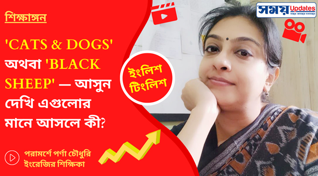 ইংলিশ টিংলিশ: ‘CATS & DOGS’ অথবা ‘BLACK SHEEP’ — আসুন দেখি এগুলোর মানে আসলে কী?