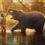 The Elephant Whisperers