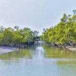 Sundarban-2