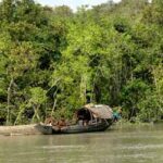 Sundarban10
