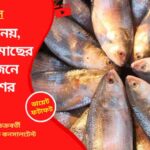 Hilsa23