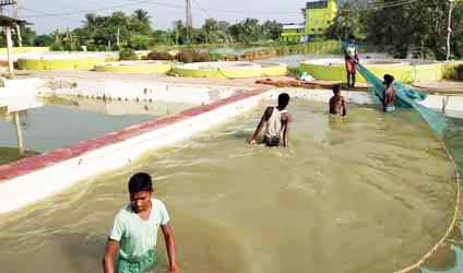 পর্ব-৭৪: এখন আরএএস পদ্ধতিতে নিয়ন্ত্রিত জলাধার বা ট্যাঙ্কে সহজেই আরও বেশি ঘনত্বে মাছচাষ সম্ভব