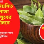 Samay Updates_Bay Leaf