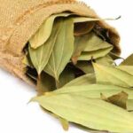 Bay Leaf Health Benefit