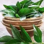 Curry leaves