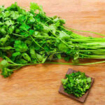 Coriander Leaf