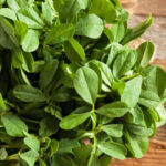 Fenugreek Benefits