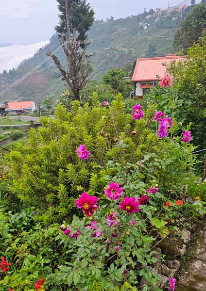 কলকাতায় বৃষ্টি