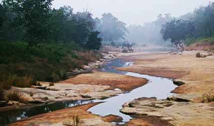 কলকাতায় বৃষ্টি