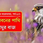 Sundarban_EP-107Cover