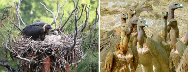 কলকাতায় বৃষ্টি