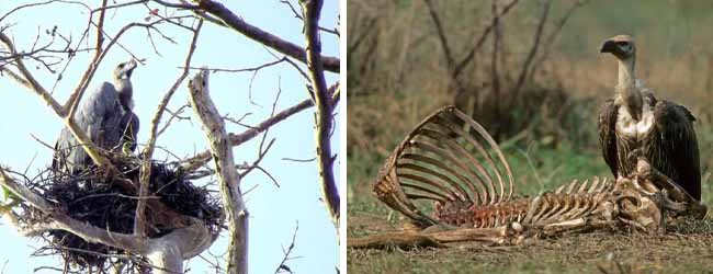কলকাতায় বৃষ্টি