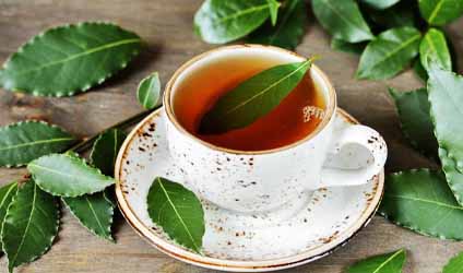 কিছুতেই পেটের অসুখ সারছে না? লিকার চায়ের পরিবর্তে তেজপাতা চায়ে চুমুক দিতে পারেন