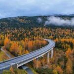 Seward Highway Royalty