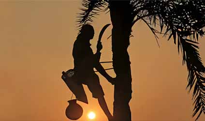 কলকাতার ১২ ডিগ্রির ঘরে নামতে পারে পারদ! বড়দিনের আগে কনকনে ঠান্ডার আমেজ শহরে, কুয়াশার সতর্কতা জেলায় জেলায়