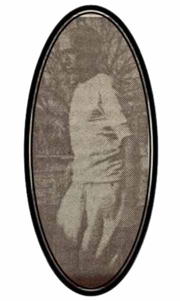 কলকাতায় বৃষ্টি