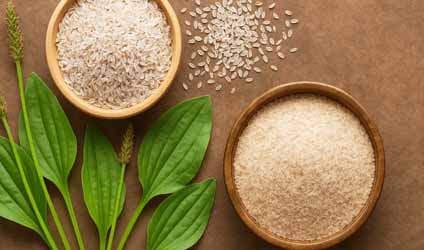 শুধু কোষ্ঠকাঠিন্য দূর করাই নয়, ডায়াবিটিস নিয়ন্ত্রণেও কাজে লাগতে পারে ইসবগুল! কেবল জানতে হবে খাওয়ার নিয়ম