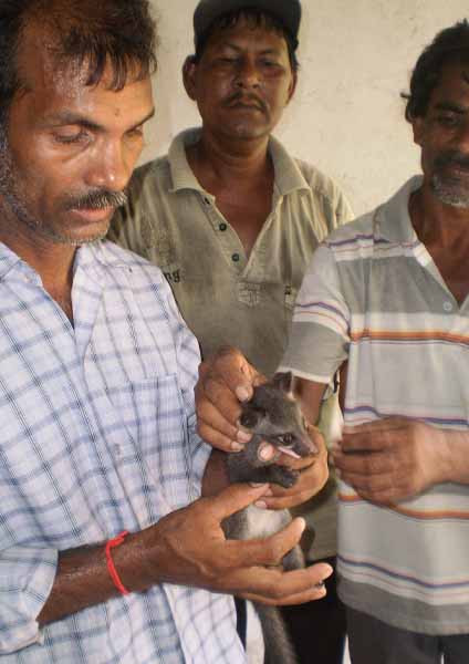কলকাতায় বৃষ্টি
