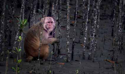 কলকাতায় বৃষ্টি