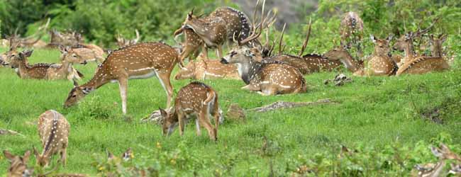 কলকাতায় বৃষ্টি