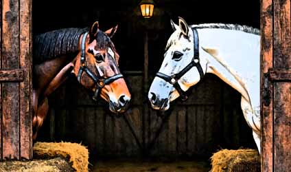 গল্পবৃক্ষ, পর্ব-৫১: সুহনু-জাতক—সেয়ানে সেয়ানে