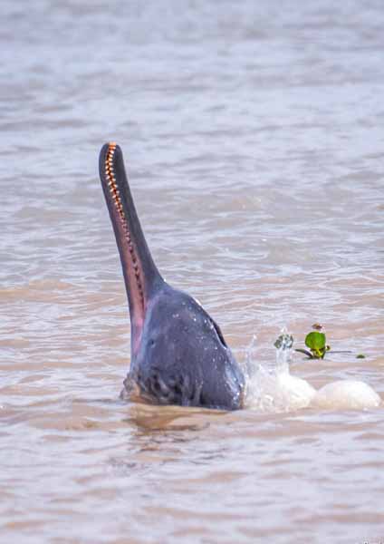 কলকাতায় বৃষ্টি