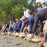 Sundarban-Balikhatah-3