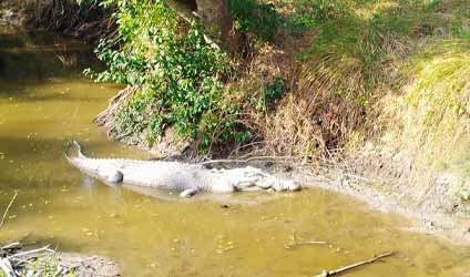 কলকাতায় বৃষ্টি