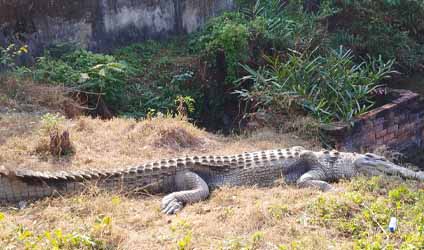 কলকাতায় বৃষ্টি