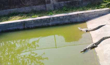 কলকাতায় বৃষ্টি