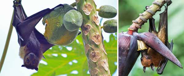 কলকাতায় বৃষ্টি