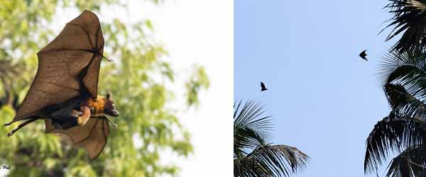 কলকাতায় বৃষ্টি