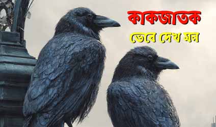 পর্ব-৬০ : কাকজাতক — ভেবে দেখ মন