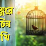 Pishach Paharer Aatanka EP 173