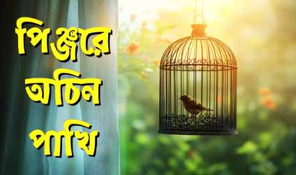 পর্ব-১৭৩ : পিঞ্জরে অচিন পাখি