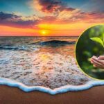 World Environment Day 2026