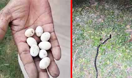 কলকাতায় বৃষ্টি