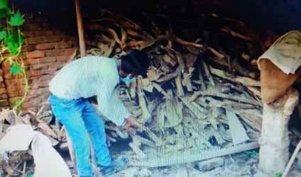 কলকাতায় বৃষ্টি