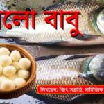 পর্ব-১৫৬: হার্ড ড্রাইভ হত্যারহস্য Hello Babu EP 156