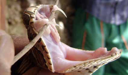 কলকাতায় বৃষ্টি